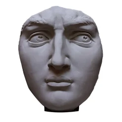 Testa in gesso del David di Michelangelo
