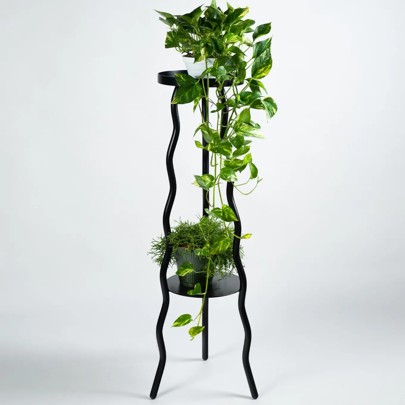 Tremulo 2 vaschette nere per fioriere