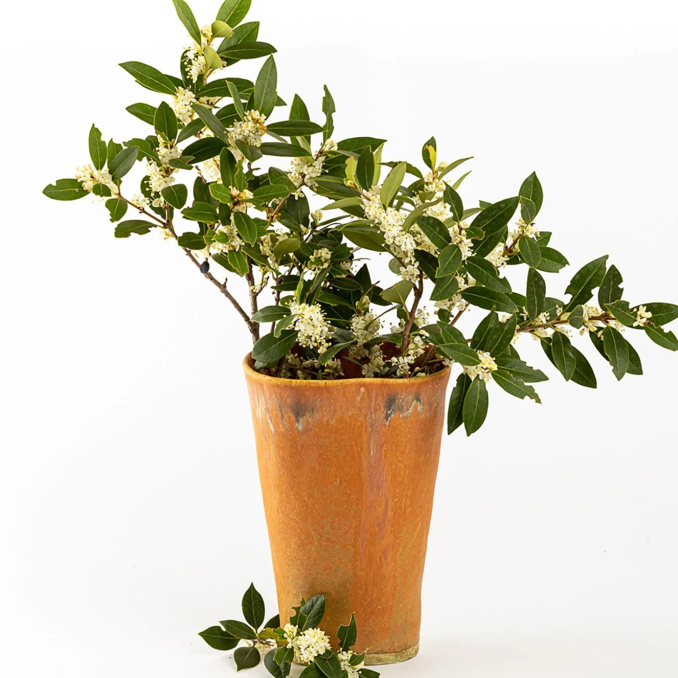 Vaso a calice arancione