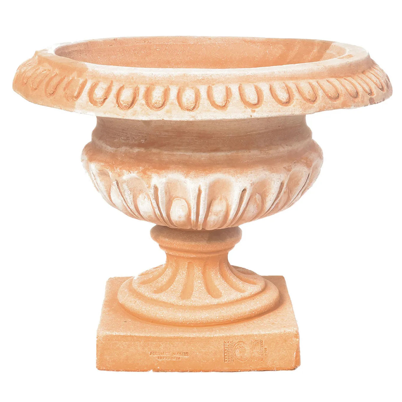 Vaso a coste Tazza Baccellata