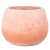 Vaso Andromeda