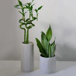 Vaso Aura grande