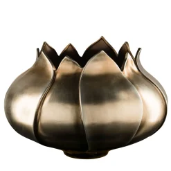 Vaso basso Tulipano