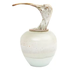 Vaso Canopo ibis