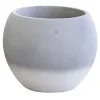 Vaso Cortina