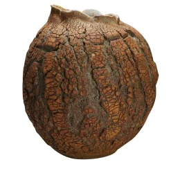 Vaso Decorativo Tuscany Seed Pod