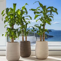 Vaso grigio Panarea
