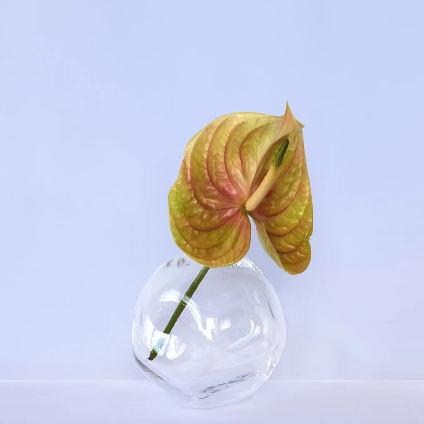 Vaso In Cristallo Nuvola