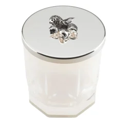 Vaso per candele a coccinella di primavera con coperchio