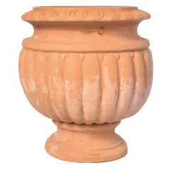 Vaso Varsavia