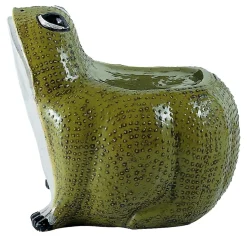 Videopoche verde rana
