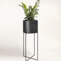 Vitis Nexum Alto Nero Abatellis Cachepot